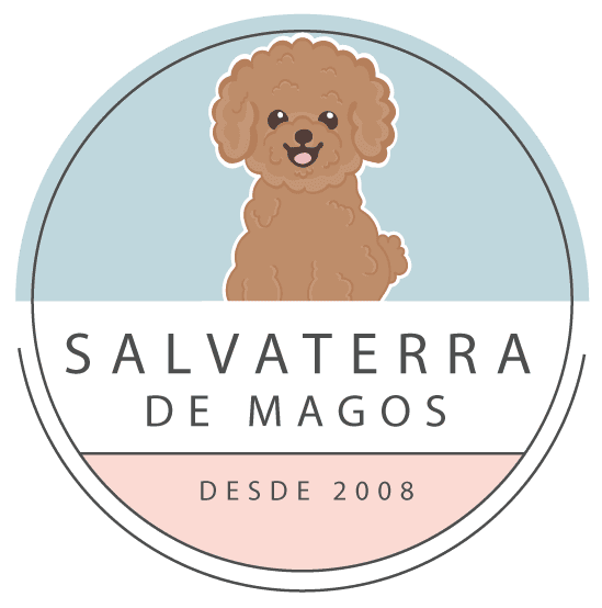Salvaterra de Magos Logo